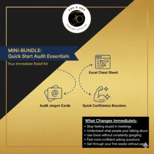 MINI-BUNDLE: Quick Start Audit Essentials